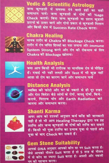 Vedic Astrologer In Delhi